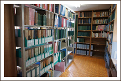 The Kamiya Library